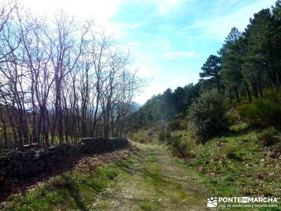 Las Machotas - Senderismo entresemana - Pico de El Fraile y los Tres Ermitaños; rutas por la sierra